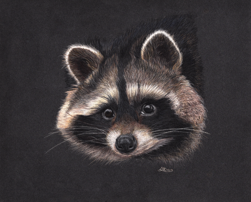 A raccoon face peeking out.