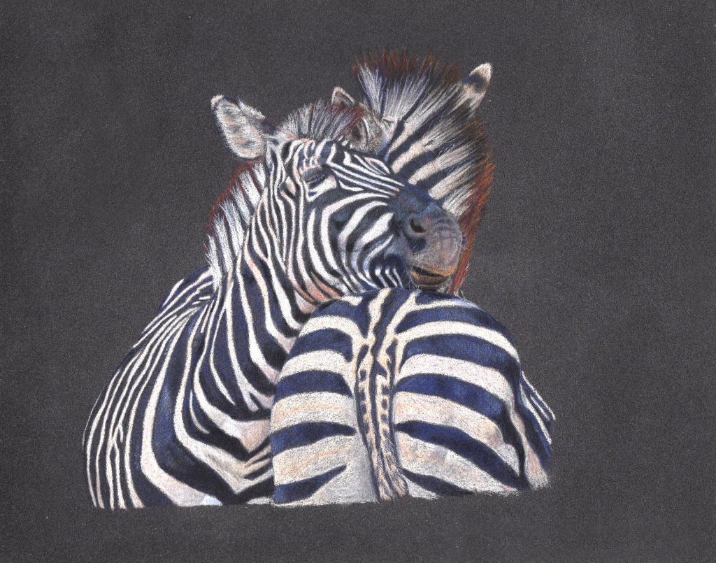 Zebra pair