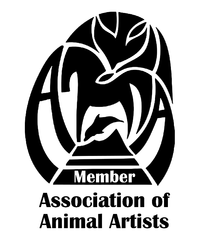 Member of the Association of Animal Artist Logo